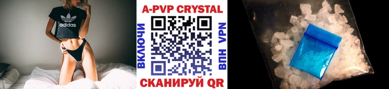 A PVP СК КРИС Макаров