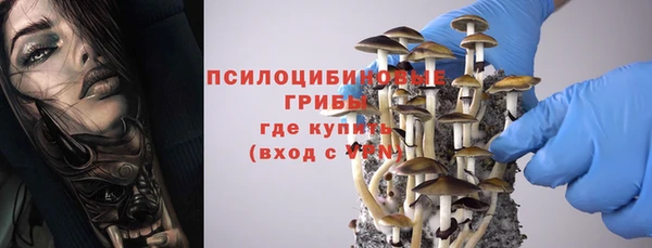 таблы Белокуриха