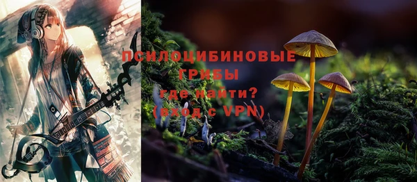таблы Белокуриха