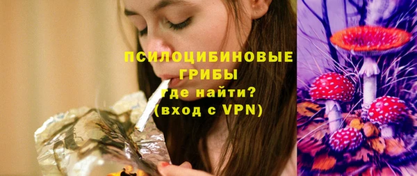 таблы Белокуриха