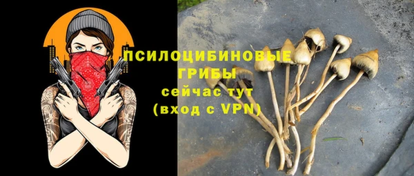 таблы Белоозёрский