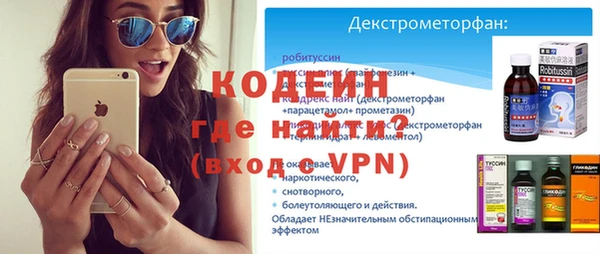 шишки Сясьстрой
